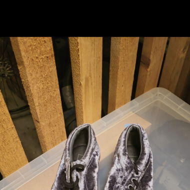 Vans shoes