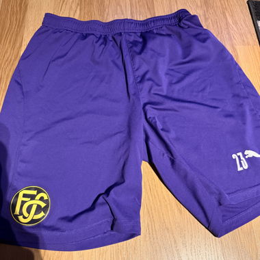 Puma purple sports shorts
