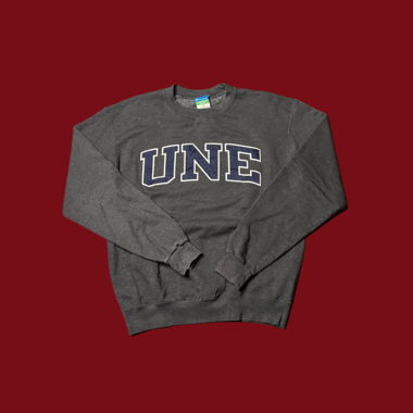 Vintage Champion Sweatshirt UNE