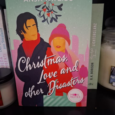 Amore di Natale e altri disastri