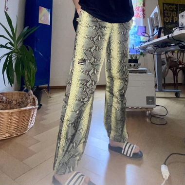 supreme x the north face snakeskins pant
