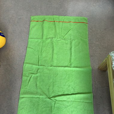 Badetuch Eidechse grün