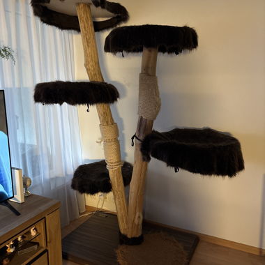 Albero tiragraffi per gatti