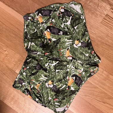 Pantaloncini ZARA con stampa Tucano
