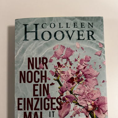 Nur noch ein Einziges mal Buch