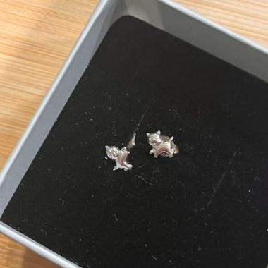 Stud Earrings