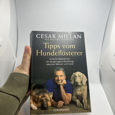 Livre Hundeflüsterer