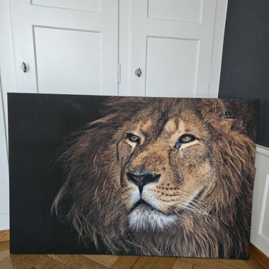 Tableau mural Lion