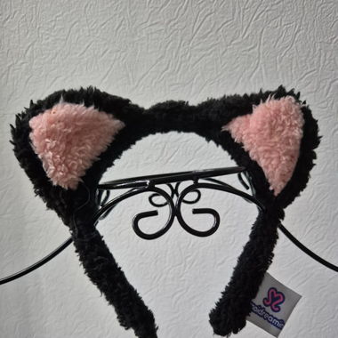 Serres tête oreille chat