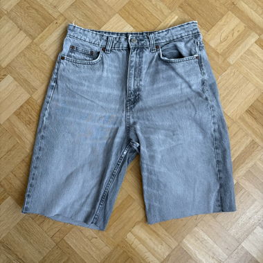 Zara Shorts