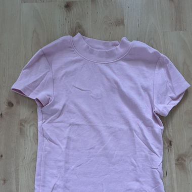 rosa croptop