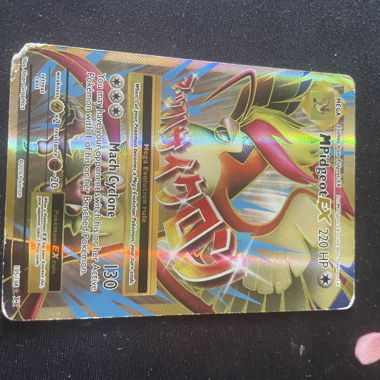 Pokemon Karten EX Holo