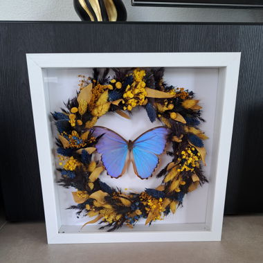 Wanddeko; Bild mit echtem Schmetterling