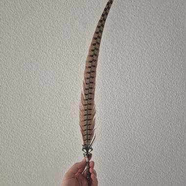 Schöne Schreibfeder mit Tinte