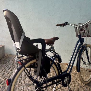 Bicicletta con seggiolone 