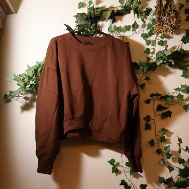 Maglione marrone / pullover
