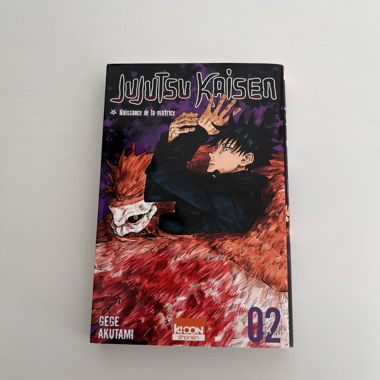 Jujutsu Kaisen Volume 2