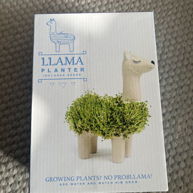 Llama planter 
