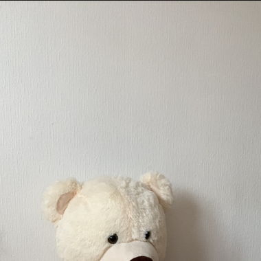 Grand ours en peluche 