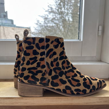 Leo Stiefel