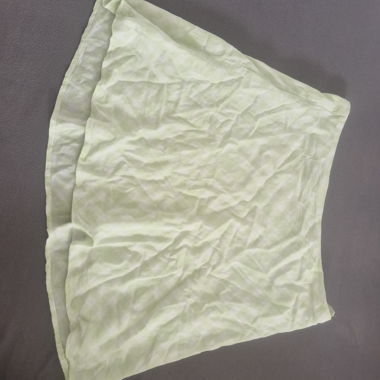 Light Green Pleated Skirt 