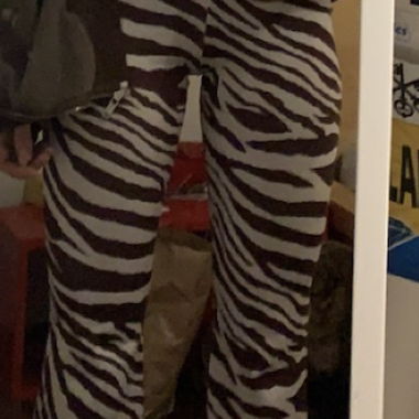 Zebra Print Pants