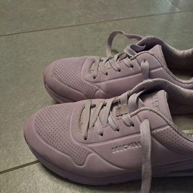 Sketchers 36