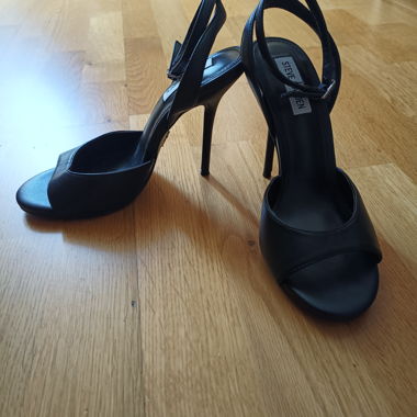 Steve madden