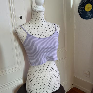 Striped Purple Cropped Top