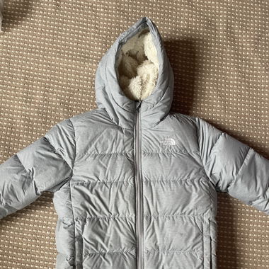 The North Face Winterjacke 
