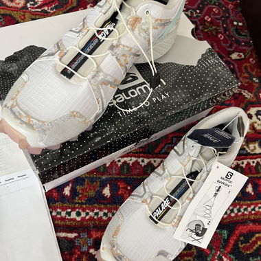 Salomon x Palace Speedcross 4