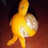floshala