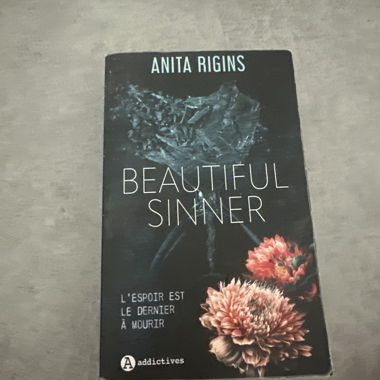 Beautiful Sinner – Broché, bon état