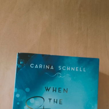 Buch When the Storm comes von Carina Schnell