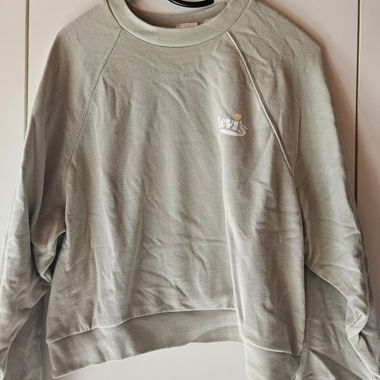 4 Crop Sweatshirts Levi’s & Hollister