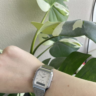 CASIO Uhr 