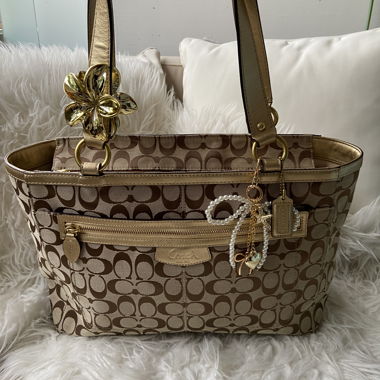 Coach Signature Tote Bag