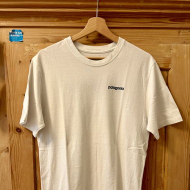 Patagonia Shirt