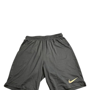 Nike Shorts (Dri-Fit)