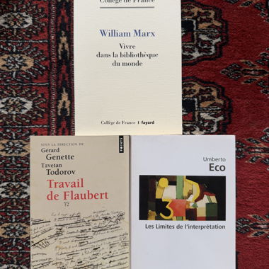 Libri di teoria letteraria