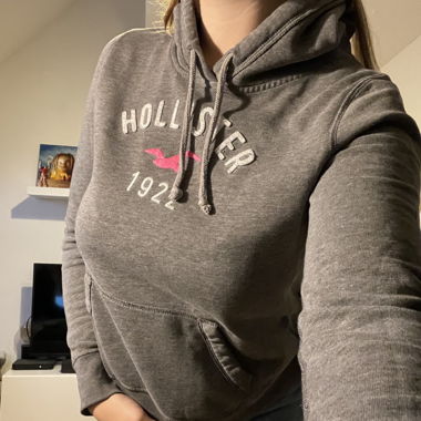 Hoodie Hollister