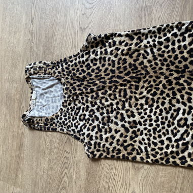 Canotta leopardata 