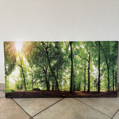 Forest Wall Art