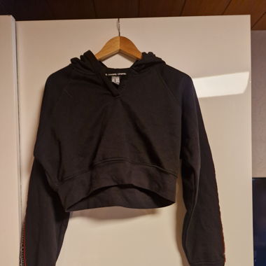 Crop Hoodie