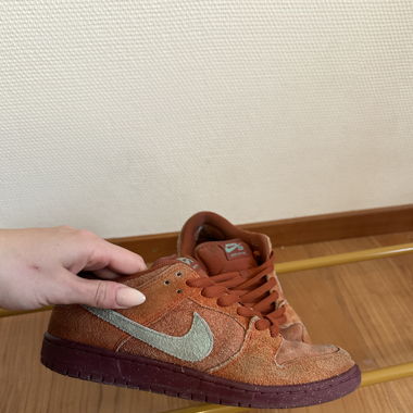 Nike SB