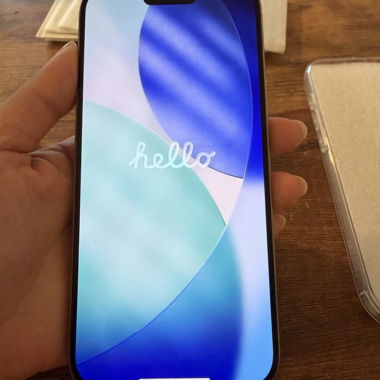 Apple iPhone with Case