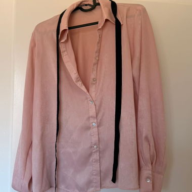 Zara Pink button-up blouse