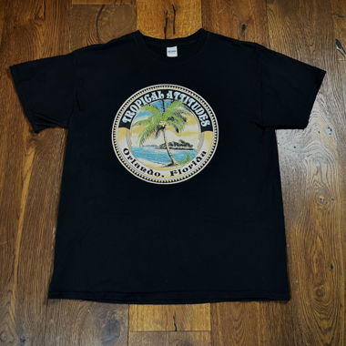 Gildan Orlando Florida T-Shirt 