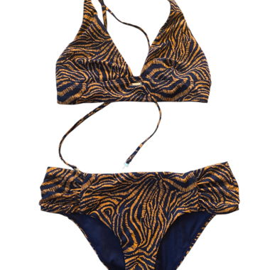 Two-Piece Bikini