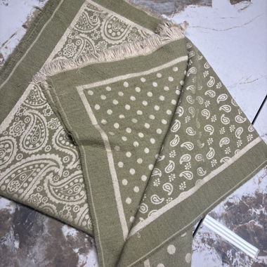 Sciarpa verde con fantasia paisley